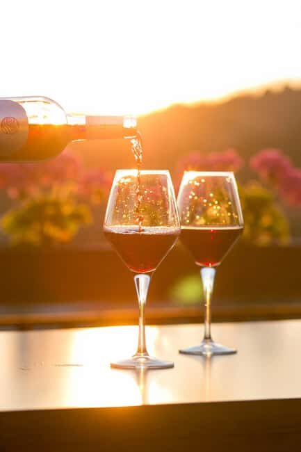 Private winery tour - Private Winery Tour in Provence: An Authentic Taste of France’s Wine Country