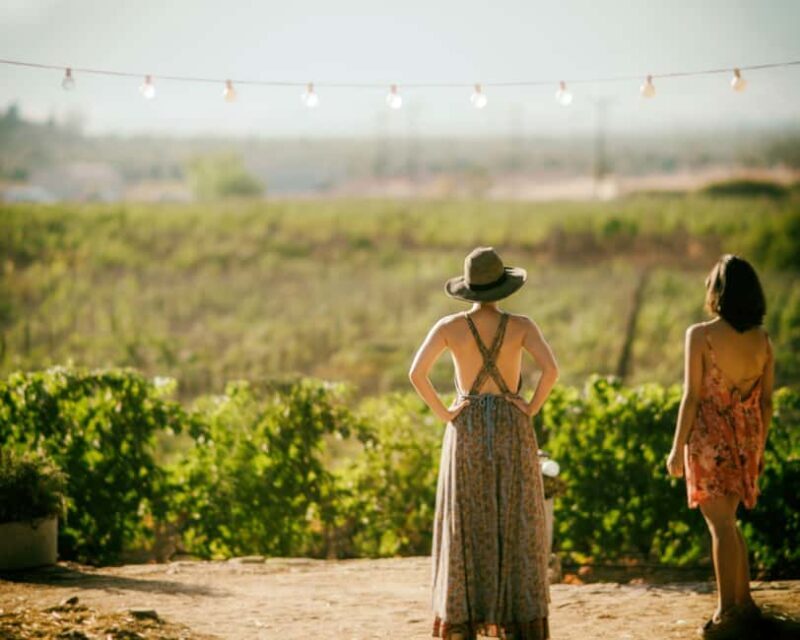 Private winery tour - Key Points