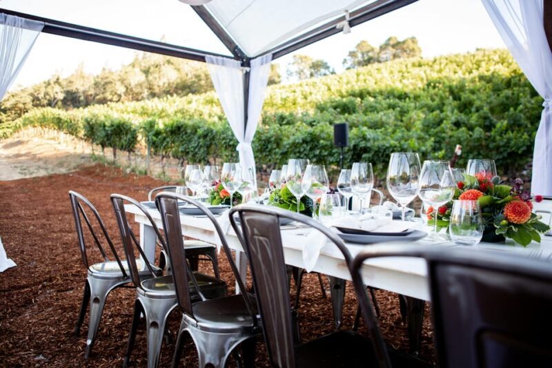 Private winery tour - Final Thoughts: Is This Tour Worth It?