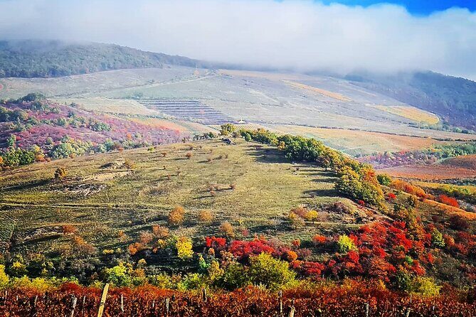 Private winetasting and sightseeing tour to Eger, home to Bull's Blood wine! - Key Points