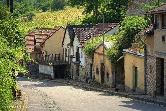 Private winetasting and sightseeing tour to Eger, home to Bull's Blood wine! - Frequently Asked Questions