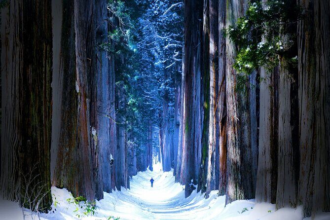 Private Winter Togakushi Tour with Snow Play - Exploring Nagano’s Winter Charms: A Detailed Look at the Togakushi Private Tour
