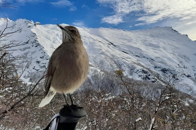 Private Winter Trekking Experience in Bariloche - Key Points
