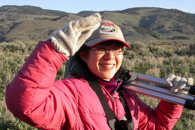 Private Wolf and Bear Watching in Yellowstone - Exploring Yellowstone’s Wildlife with a Personal Touch