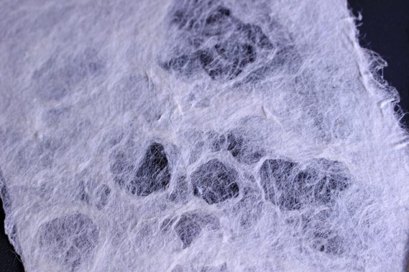 Private Workshop for Making Paper Last 1,000 years in Ueno - Why This Workshop Offers Great Value