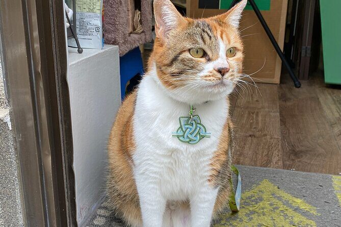 Private Workshop of Handmade Traditional Japanese Paper in Tokyo - Final Thoughts