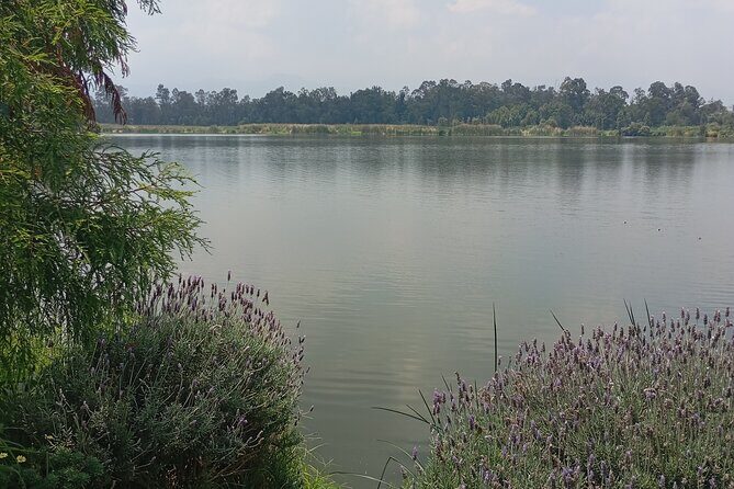 Private Xochimilco Boat Ride, Food & Mariachi from Mexico City - Key Points