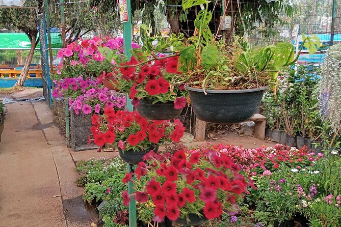 Private Xochimilco Boat Ride, Food & Mariachi from Mexico City - Who Should Consider This Tour?