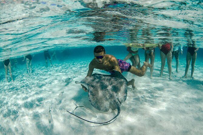 Private Yacht 48 ft Sting Ray City, Snorkel & Starfish Beach - Who Will Love This Experience?