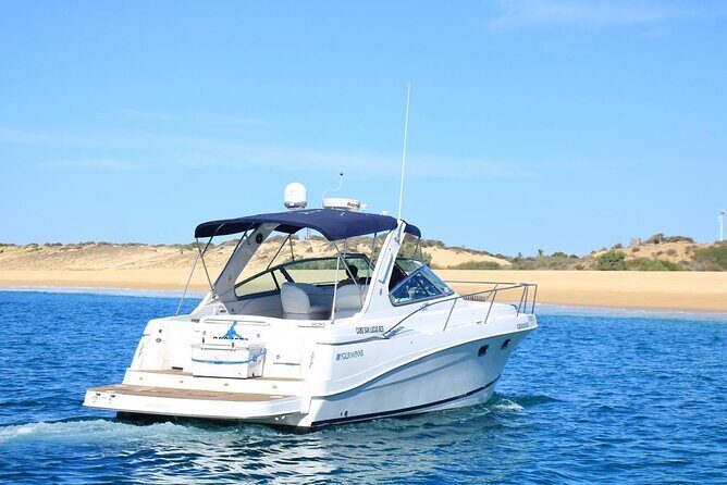 Private Yacht Charter in Cabo San Lucas - Analyzing the Value