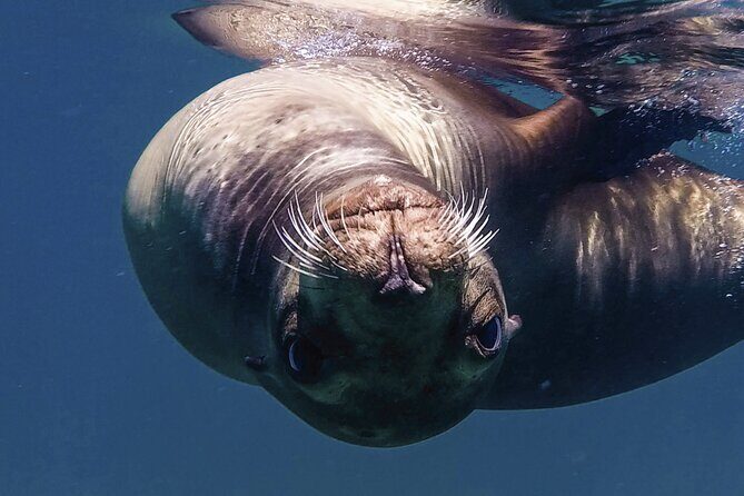 Private Yacht Charter in Cabo San Lucas - Who Will Love This Experience?