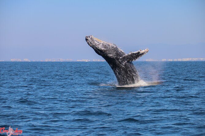 Private Yacht Charter on ChicaFun 1 Waterslides all inclusive - Practical Details and Tips