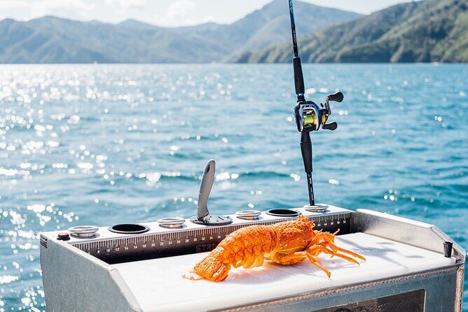 Private Yacht Cruise in the Marlborough Sounds New Zealand - Final Words