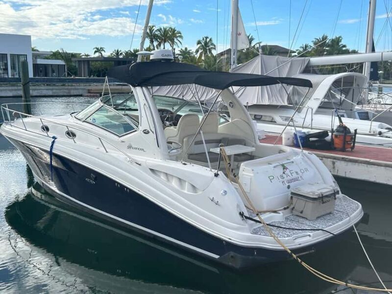 Private Yacht for Excursions in Punta Cana, Snorkeling+Booze - Key Points