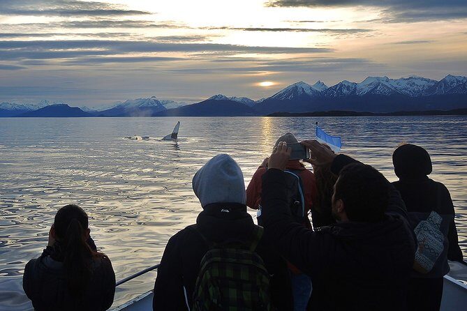 Private yacht sailing on the Beagle Channel - Private yacht sailing on the Beagle Channel: An in-depth look