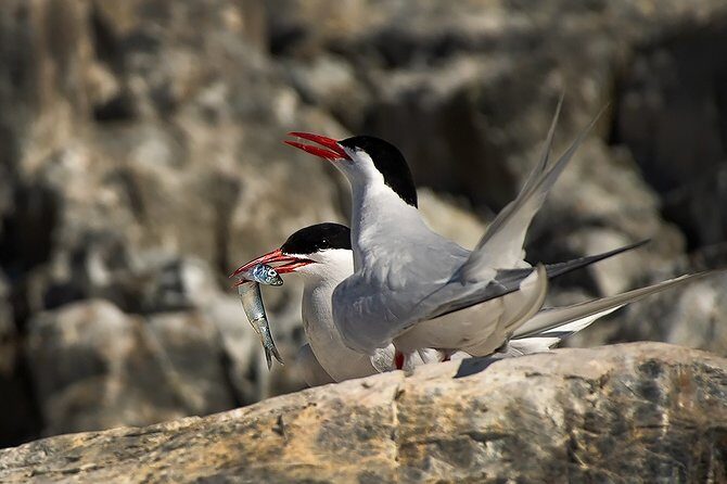 Private yacht sailing on the Beagle Channel - Frequently Asked Questions