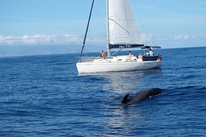 Private Yacht Tour With Whale and Dolphin Watching 33 Foot Boat - FAQs