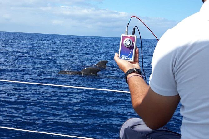 Private Yacht Tour With Whale and Dolphin Watching 42 Foot Boat - Final Thoughts