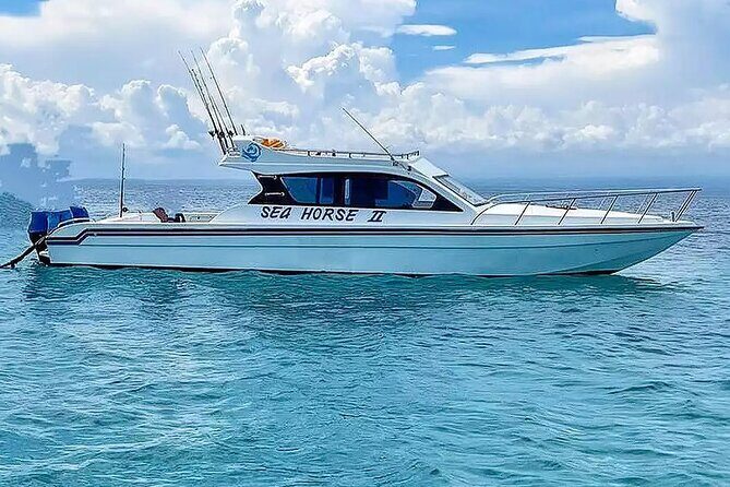 Private Yacht Trip Tour Bali - 8 Hours Day Trip Nusa Penida - SH2 - Key Points