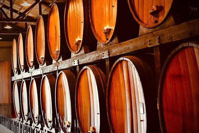 Private Yalumba Wine Tour Experience from Angaston - Who Should Consider This Tour?