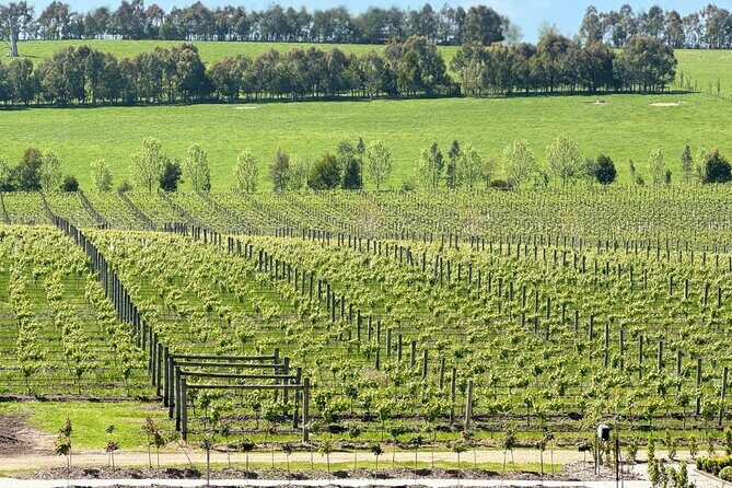 Private Yarra Valley Winery & Healesville Sanctuary Tours - Introduction: What’s in Store for You?