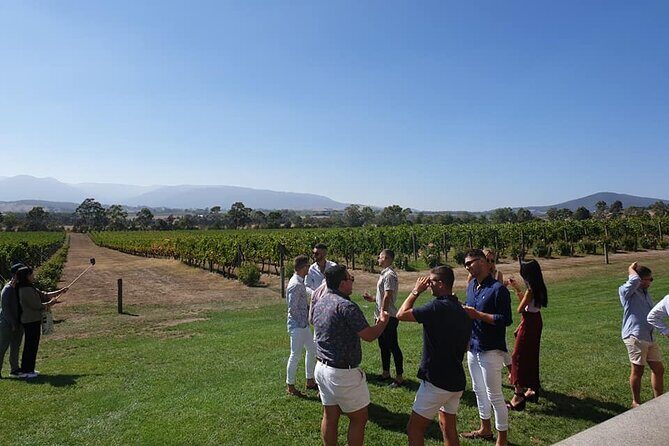 Private Yarra Valley Winery & Healesville Sanctuary Tours - Practical Tips for Your Day