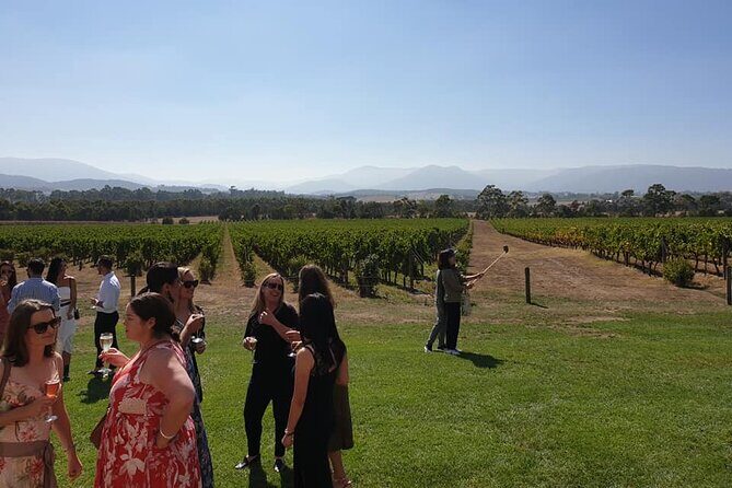 Private Yarra Valley Winery & Healesville Sanctuary Tours - Who Is This Tour Best For?