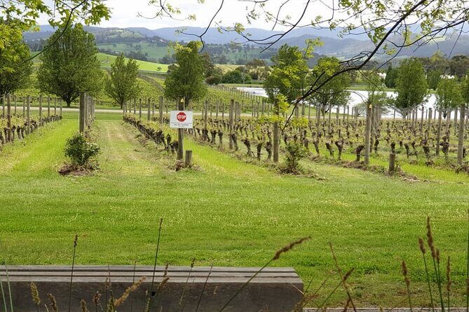 Private Yarra Valley Winery & Healesville Sanctuary Tours - FAQ