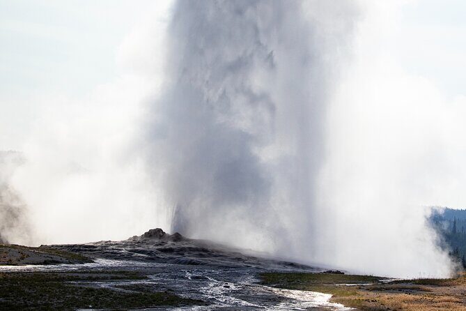 Private Yellowstone Highlights Tour - Practical Details: Transportation and Customization