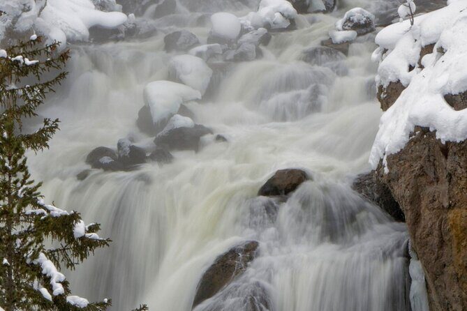 Private Yellowstone Winter Wolf Watching and Wildlife Safari - Who Should Consider This Tour?