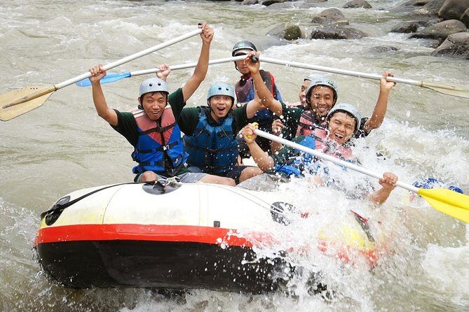 Private Yogyakarta Elo River Rafting - Dutch / Italian / French / English Guide - A Deep Dive into the Elo River Rafting Experience