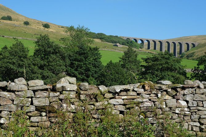Private Yorkshire Dales from Windermere in a 16 seater Mercedes - A Journey Through the Yorkshire Dales: What You Can Expect