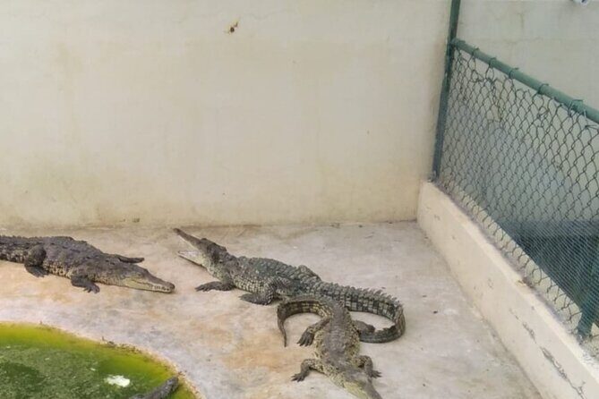 Private YS Falls and Black River Safari from Montego Bay - Final Thoughts