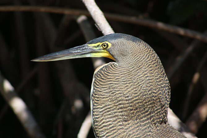 Private Yucatan Discovery Tour - Authenticity and Personal Touches