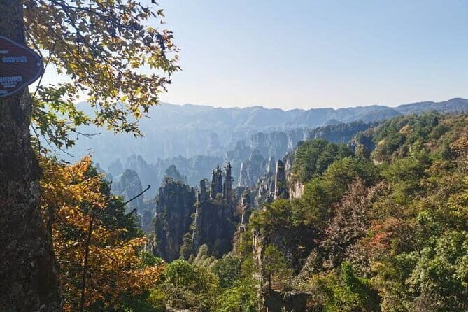Private Zhangjiajie National Forest Park Day Tour - In-Depth Review of the Zhangjiajie Private Day Tour
