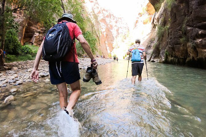 Private Zion Canyon National Park Day Tour from Las Vegas - What Makes This Tour Stand Out?