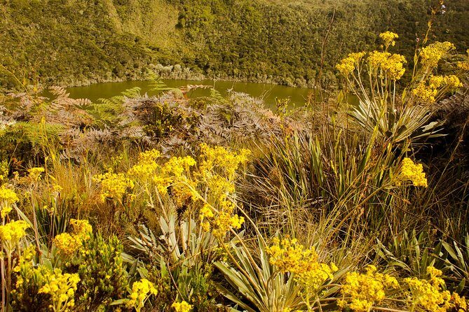 Private Zipaquira Salt Cathedral and Guatavita Lagoon Tour from Bogota - FAQs