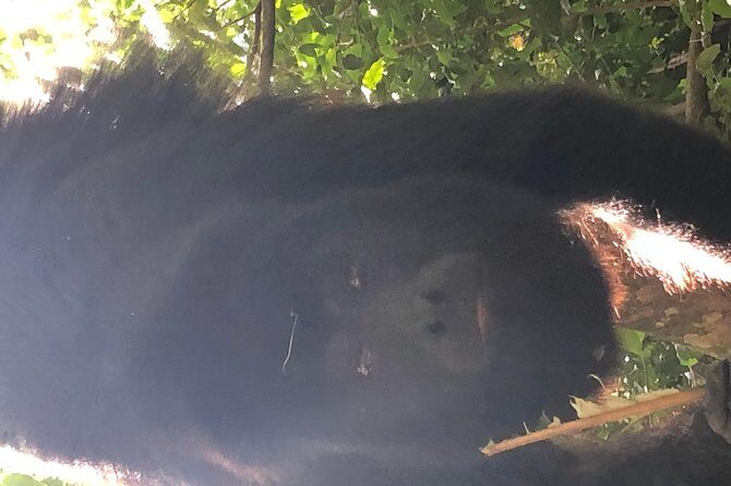 PRIVATE Zipline & Baboon Sanctuary Experience - Who Should Consider This Tour?