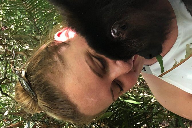 PRIVATE Zipline & Baboon Sanctuary Experience - The Sum Up: Is It Worth It?