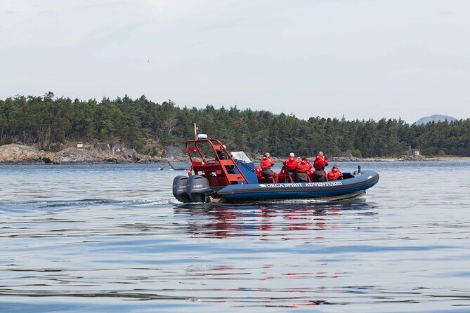 Private Zodiac Whale Watching Tour from Victoria - FAQ