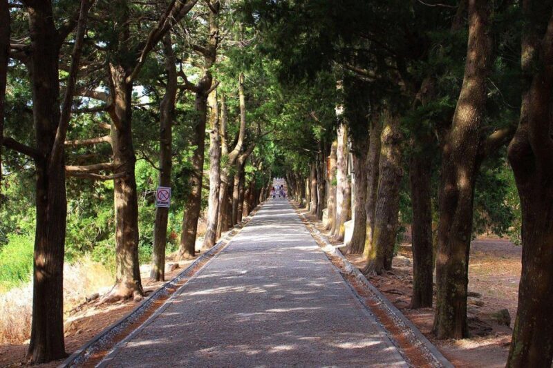 Private:Filerimos Hill, Ancient Kamiros,Kritinia Castle Tour - Why This Tour Works for Different Travelers