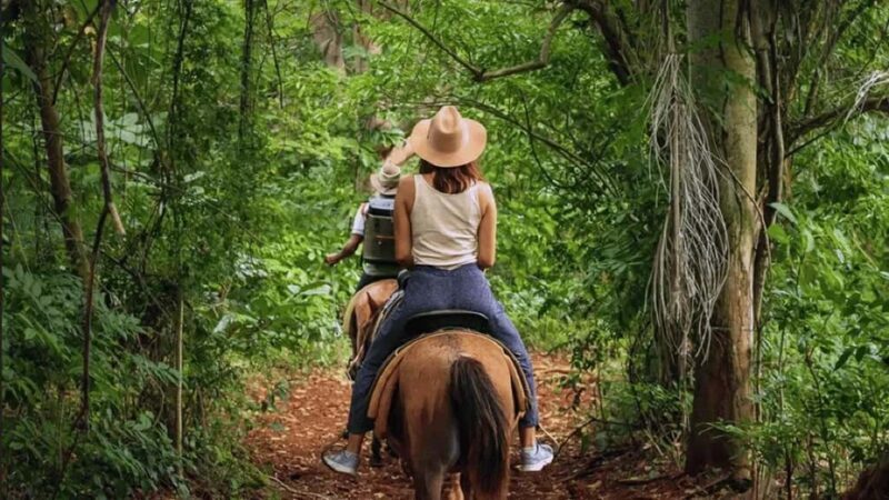 Private:Los Haitises: Kayak and Horseback Riding Tour - In-Depth Look at the Los Haitises Tour Experience