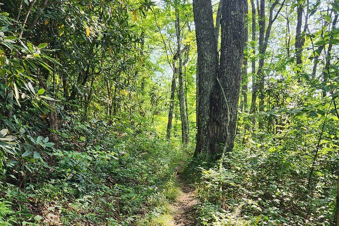 Privately Guided Half Day Hike - Final Thoughts
