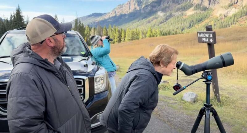 Privately Guided Safari at Sunset from West Yellowstone - An In-Depth Look at the Sunset Safari Experience