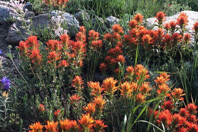 Privately Guided Scenic Mountain Hike - Authentic Experiences & Genuine Value