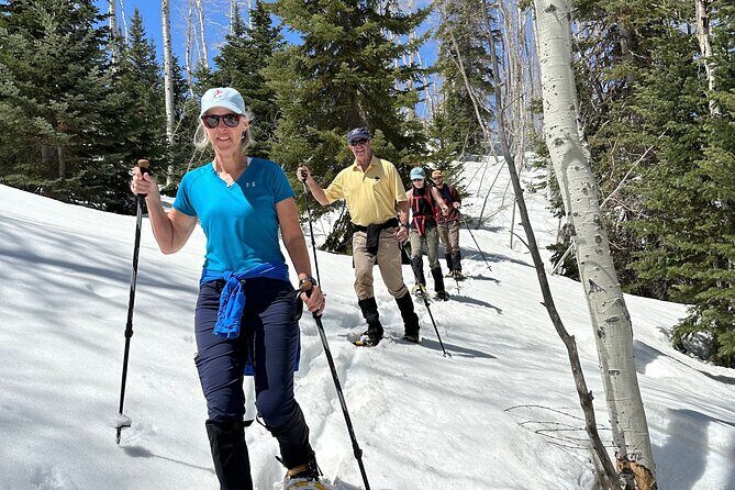 Privately Guided Snowshoe Experience - A Deep Dive into the Snowshoe Experience in Park City