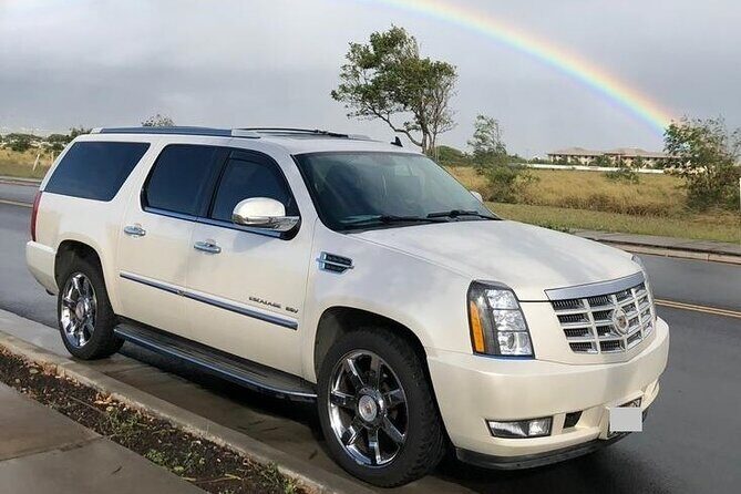 PrivateTransfer from Pointe-à-Pitre Cruise Port to Airport (PTP) - Authentic Traveler Feedback