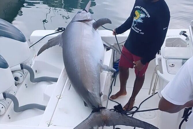 Pro Series Full Day Deep Sea Fishing with Wahooters - Key Points