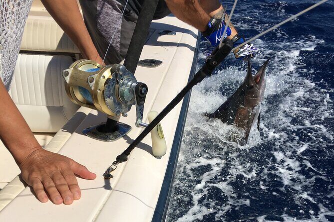 Pro Series Full Day Deep Sea Fishing with Wahooters - Final Thoughts