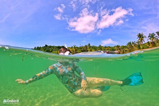 PRO-SNORKELING to Explore Hidden Coral Reefs (MAX 12 PAX) - Key Points